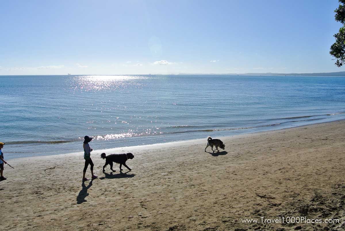 Dog-friendly beaches