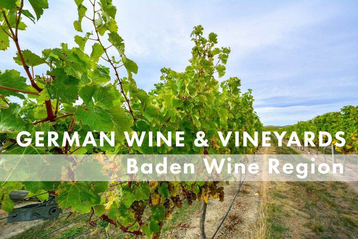 Baden Wine Region -- German Wine and Regions
