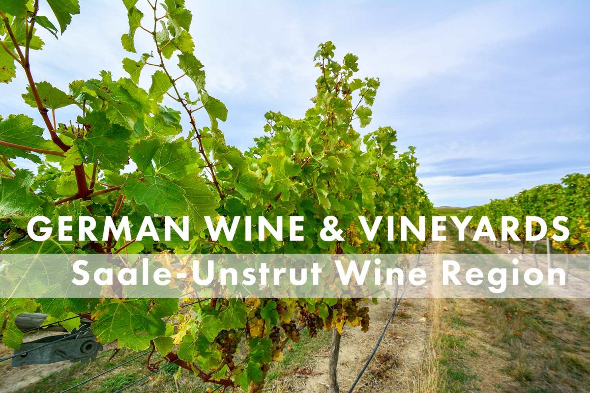 Saale-Unstrut Wine Region -- German Wine and Regions